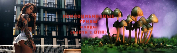гашиш Михайлов
