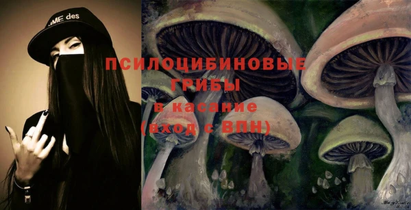 дмт Елабуга