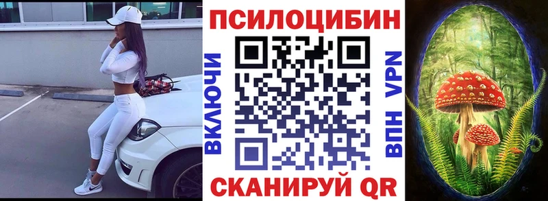 Псилоцибиновые грибы Psilocybine cubensis Ермолино